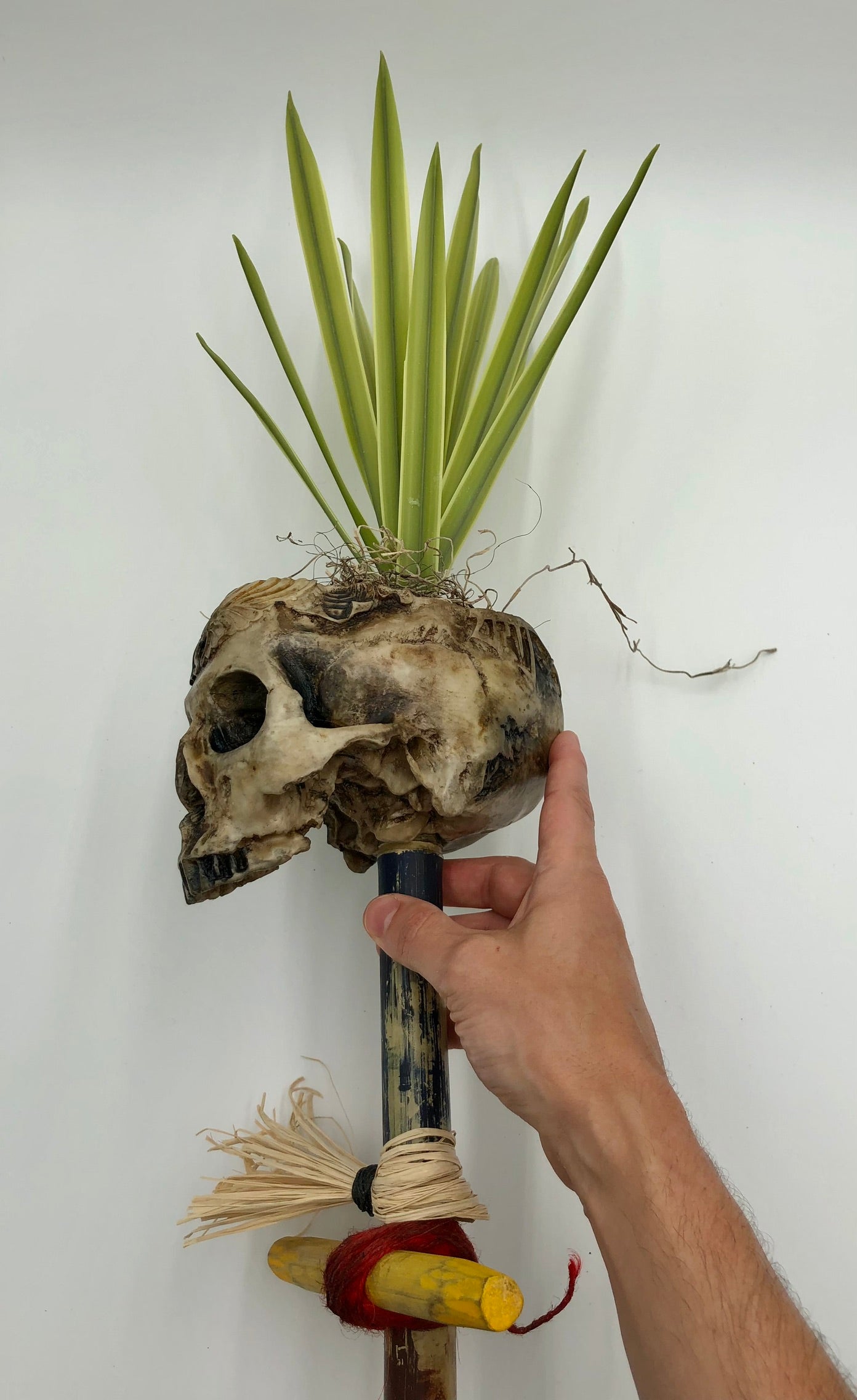 Tiki Tribal Skull Staff